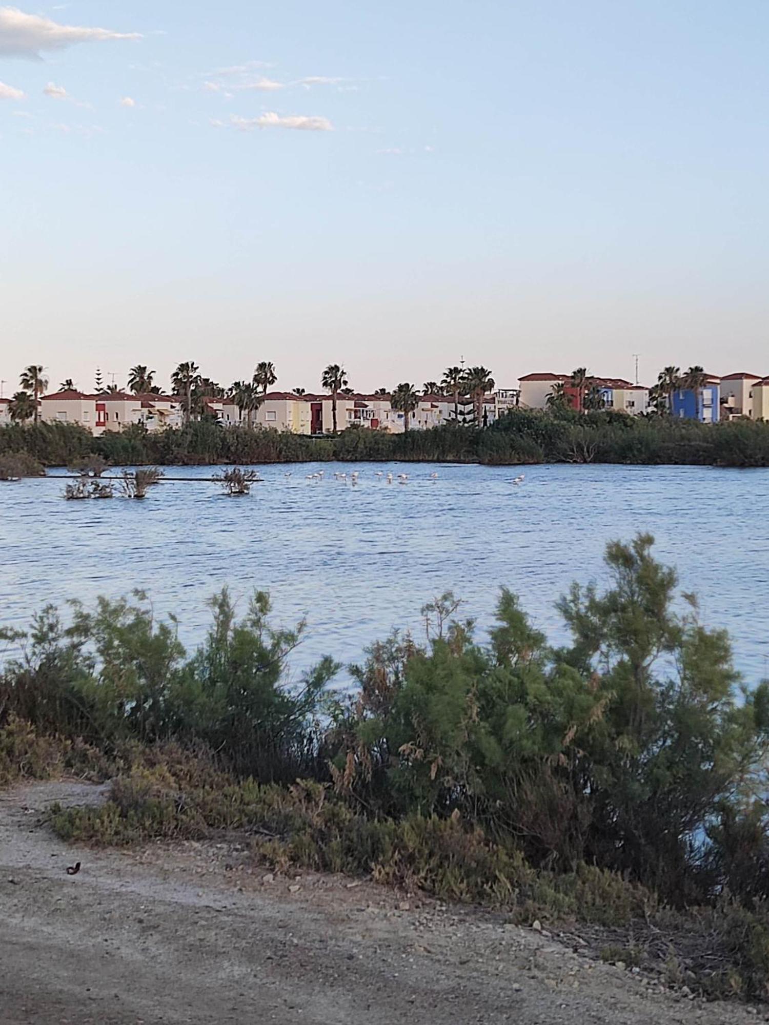 El Mirador De Torremari - Nudista - Vera Playa Exterior photo